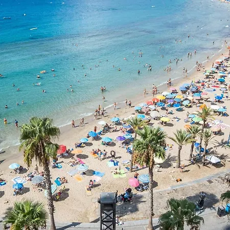 Don Miguel Deluxe 7-a Levante * Benidorm